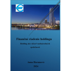 Finančné riadenie holdingu (Holding ako súčasť nadnárodných spoločností)