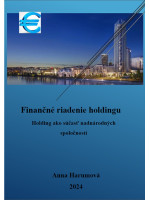 Finančné riadenie holdingu (Holding ako súčasť nadnárodných spoločností)