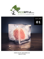 VOL. 4, NO. 2018/ 01 - ECOLETRA.COM SCIENTIFIC EJOURNAL